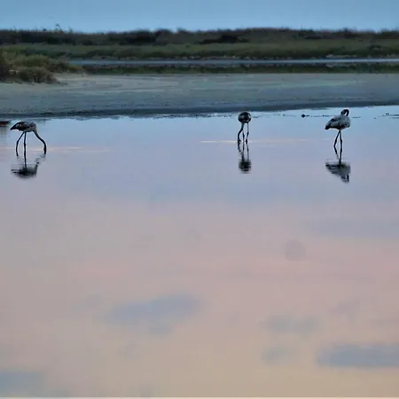 Вилла Infinite Blue, Horizon, Elegance, Hospitality