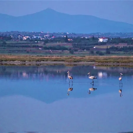 Вилла Infinite Blue, Horizon, Elegance, Hospitality Эпаноми