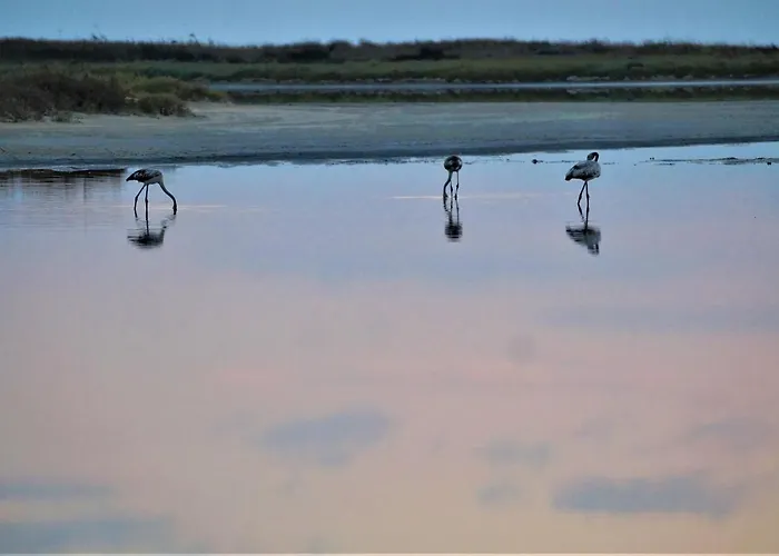 别墅 Infinite Blue, Horizon, Elegance, Hospitality