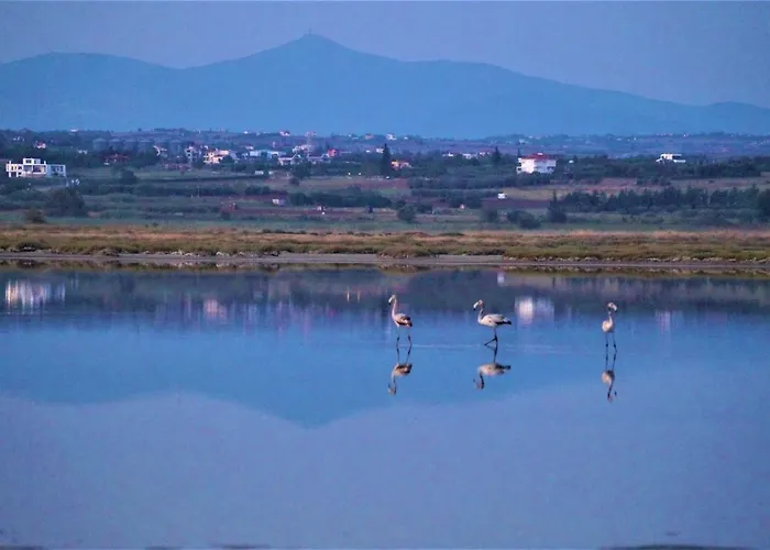 别墅 Infinite Blue, Horizon, Elegance, Hospitality 埃帕诺米